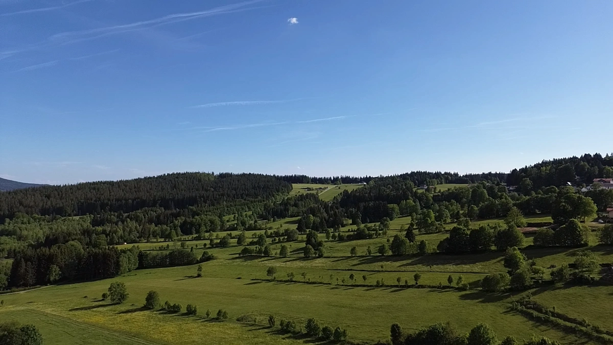 Weitblick vom Ferienhaus Gustl Richtung Böhmen mit Wäldern und weiten Feldern